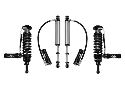 Ominic Nitro Charged Shocks